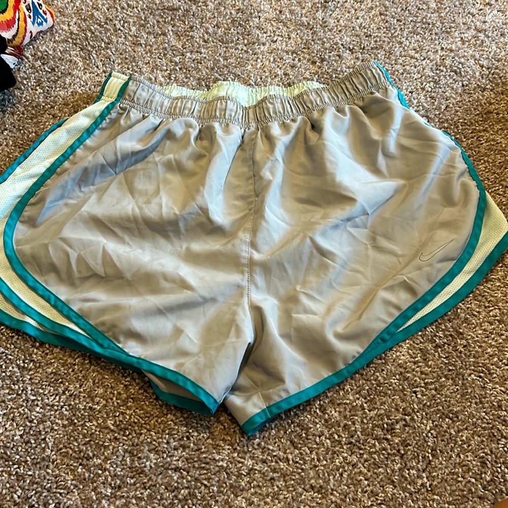 Nike Dri Fit Shorts size L